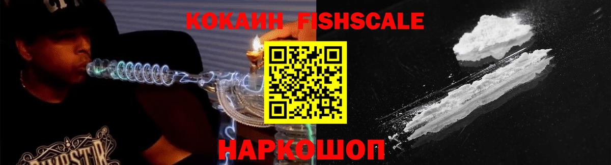 COCAIN Fish Scale  Вход с VPN  Каменка 