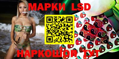 гашик Бийск