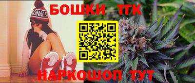 mdpv Гатчина