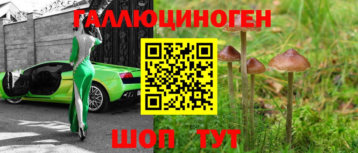 Псилоцибиновые грибы Magic Shrooms  Галлюциногенные грибы ЛСД  Каменка  Вход с VPN 