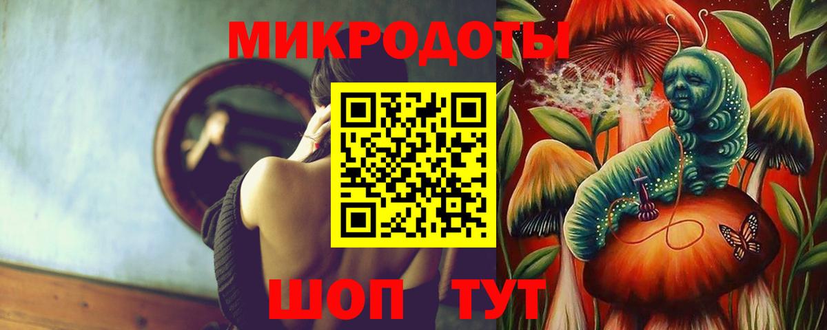 Псилоцибиновые грибы Psilocybine cubensis Каменка